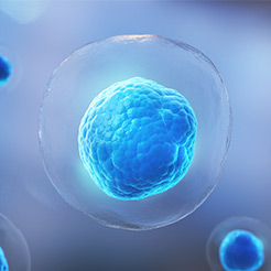 Elite Anti-Aging Stem Cell Features - Anti-Aging Stem Cell Procedure